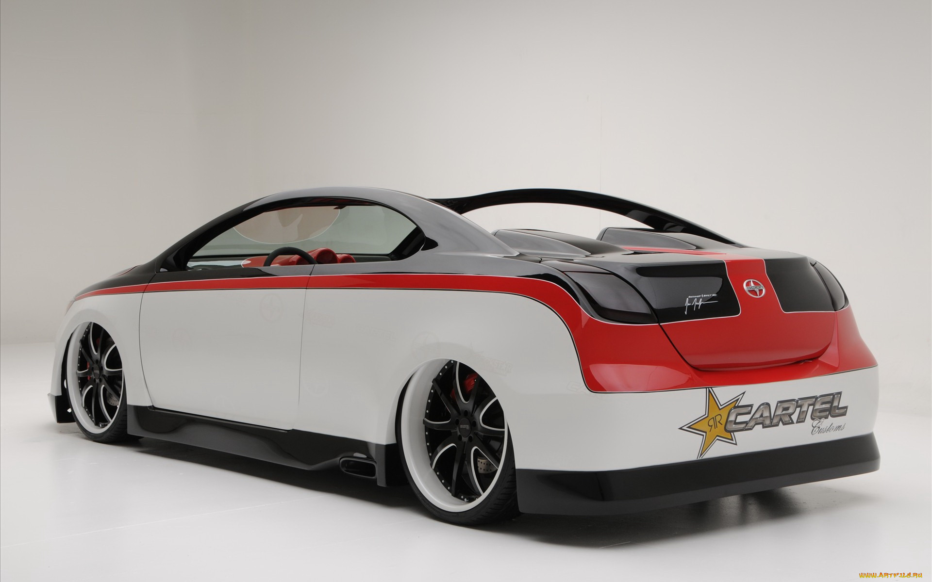 , scion
